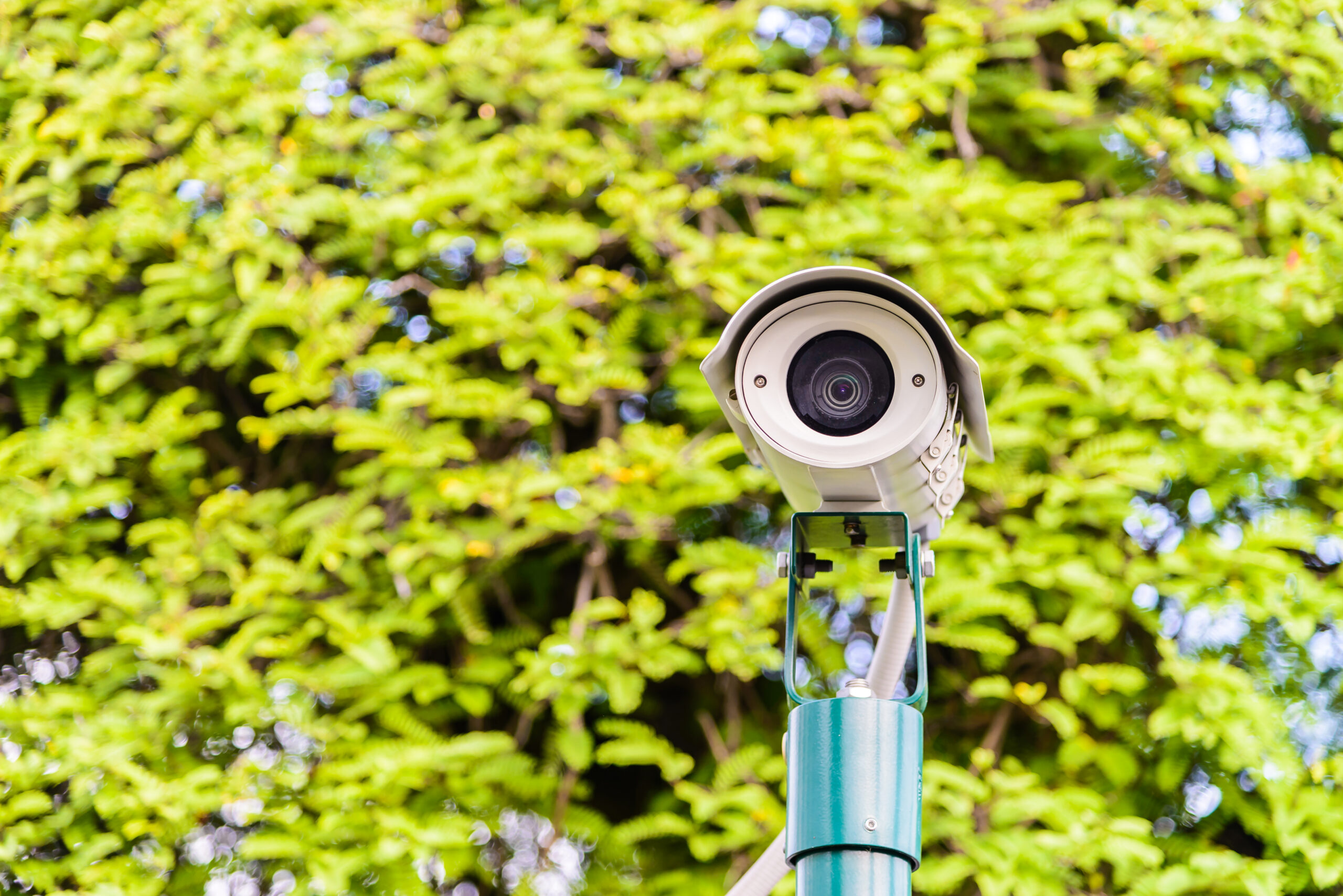 PTZ Cameras